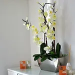 Apartment Apartments Neuss *