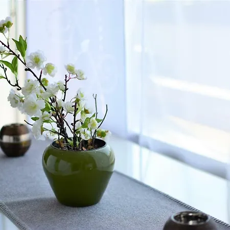 Appartement Apartments Neuss