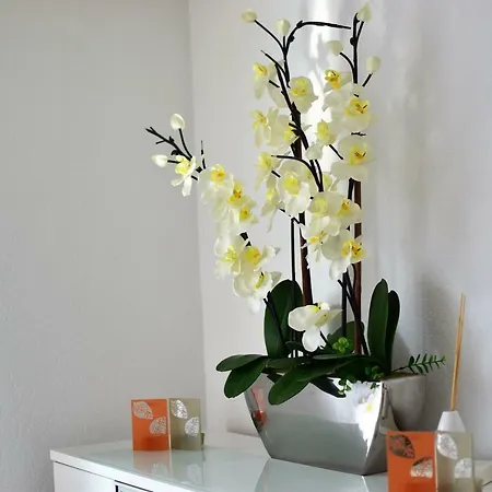 Daire Apartments Neuss *
